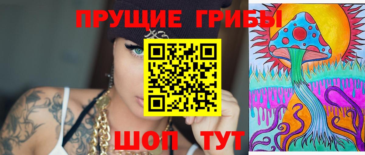 Псилоцибиновые грибы Psilocybine cubensis Чистополь