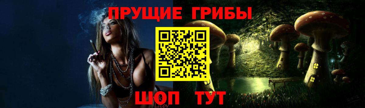 Псилоцибиновые грибы GOLDEN TEACHER  Вход с VPN  Чистополь 