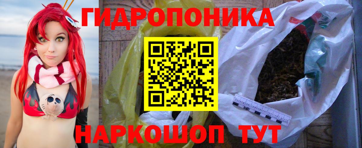 Бошки марихуана индика  Каннабис индика  Вход с VPN  Шишки марихуана OG Kush  Чистополь  МАРИХУАНА конопля 
